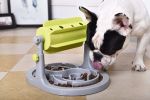 Pet Life Â® 'Roto Paw' IQ Training Interactive Rotating Slow Dog Feeder