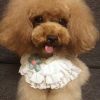 Retro Style Handmade Lace Collars Cute Flower Dog Necklace Cat Collars 8.2-11.2"