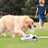 Dog Water Fountain Outdoor Dog Pet Water Dispenser Step-on Activated Sprinkler