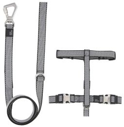 Pet Life Â® 'Escapade' Outdoor Series 2-in-1 Convertible Dog Leash and Harness (Color: Grey, size: large)