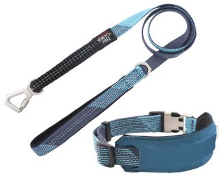 Pet Life Â® 'Geo-prene' 2-in-1 Shock Absorbing Neoprene Padded Reflective Dog Leash and Collar (Color: Blue, size: large)