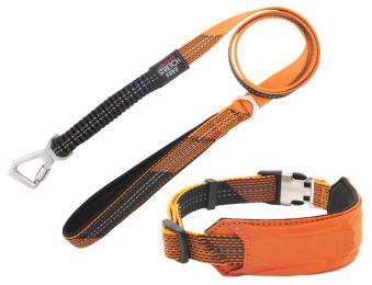 Pet Life Â® 'Geo-prene' 2-in-1 Shock Absorbing Neoprene Padded Reflective Dog Leash and Collar (Color: orange, size: large)